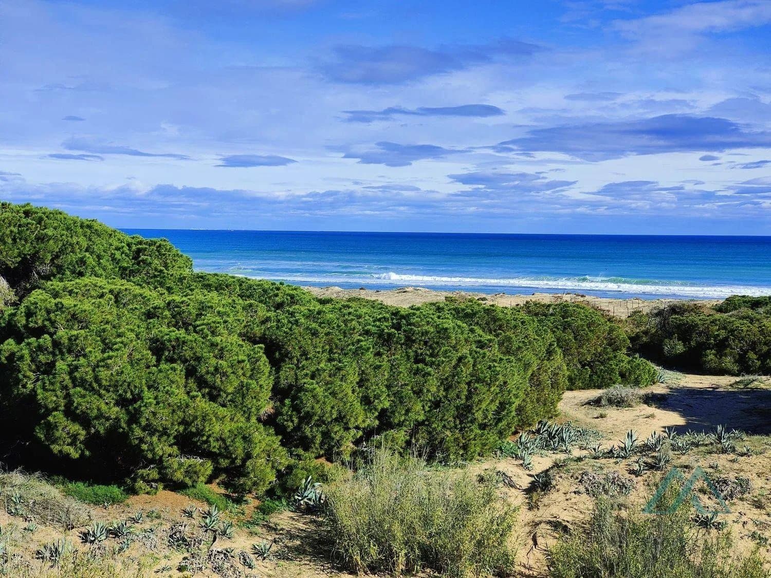 Apartmán se 2 ložnicemi jen 150 m od pláže La Mata - terasa, bazén, klidná lokalita, Torrevieja, Španělsko - foto 19