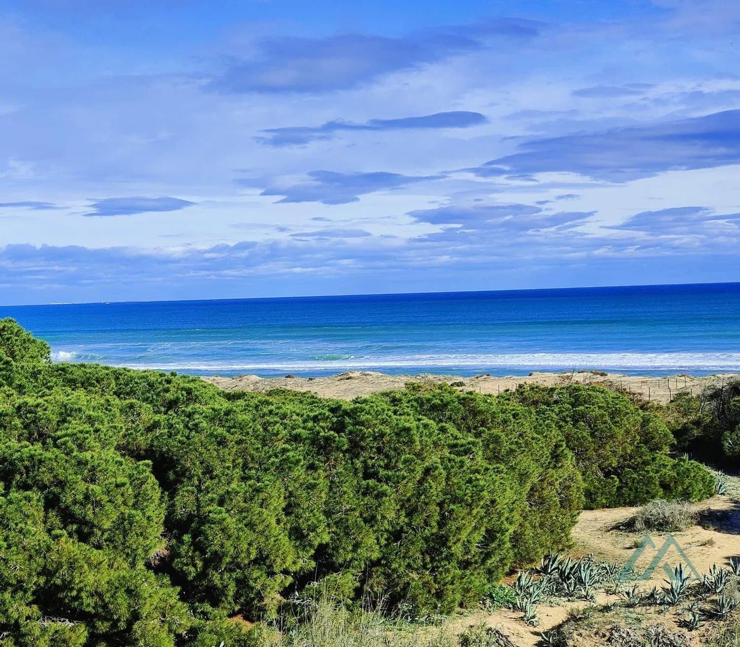 Apartmán se 2 ložnicemi jen 150 m od pláže La Mata - terasa, bazén, klidná lokalita, Torrevieja, Španělsko - foto 21