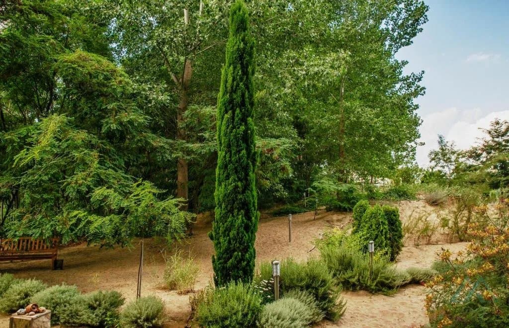 2 pokojový apartmán s výhledem na moře v první linii - Dune Residence, Slunečné pobřeží - foto 31